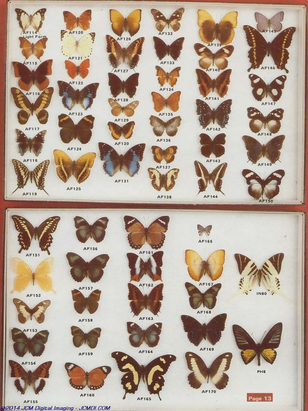 The Butterfly Company (NY) 20 page catalog 1978